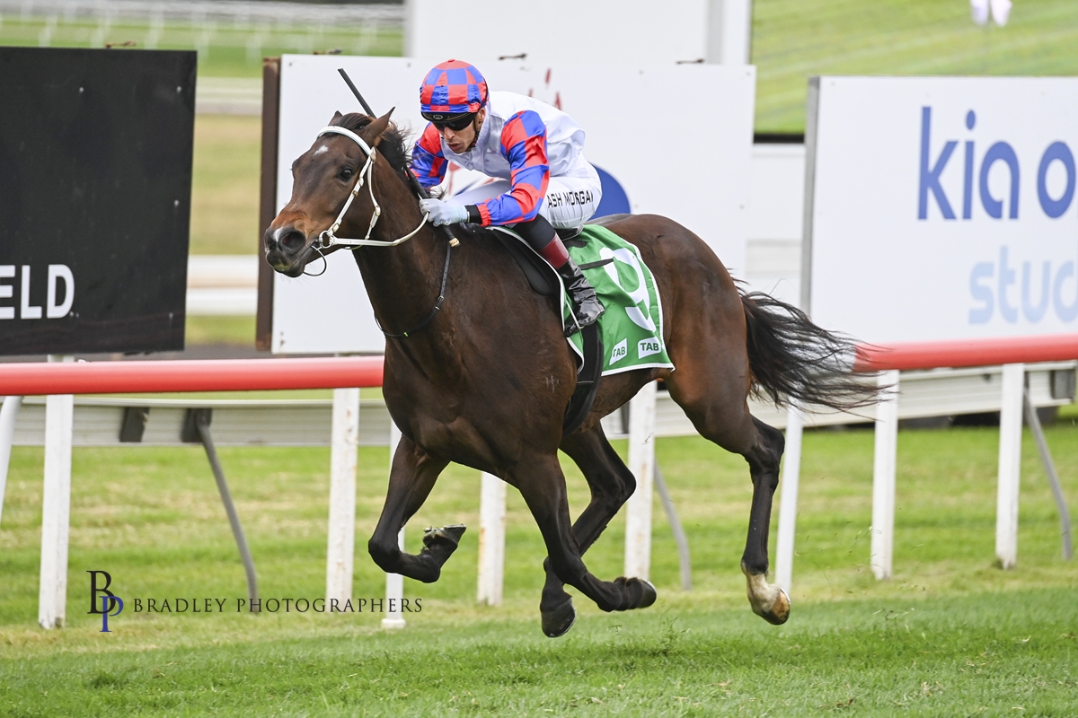 NEWCASTLE trainer Jay Hopkins is in line for his maiden G1 runner.
Hopkins’ lightly-raced 3YO Sonofdec raced himself into contention for Saturday week’s Queensland Derby at Eagle Farm with an authoritative performance at Scone on Saturday. Read more 👇provincialracingnsw.com.au