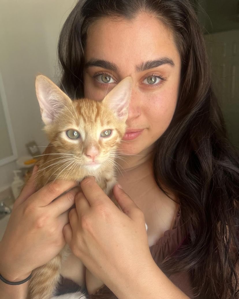 Duas gatinhas 😽 Lauren na publicação da Alexa no Instagram