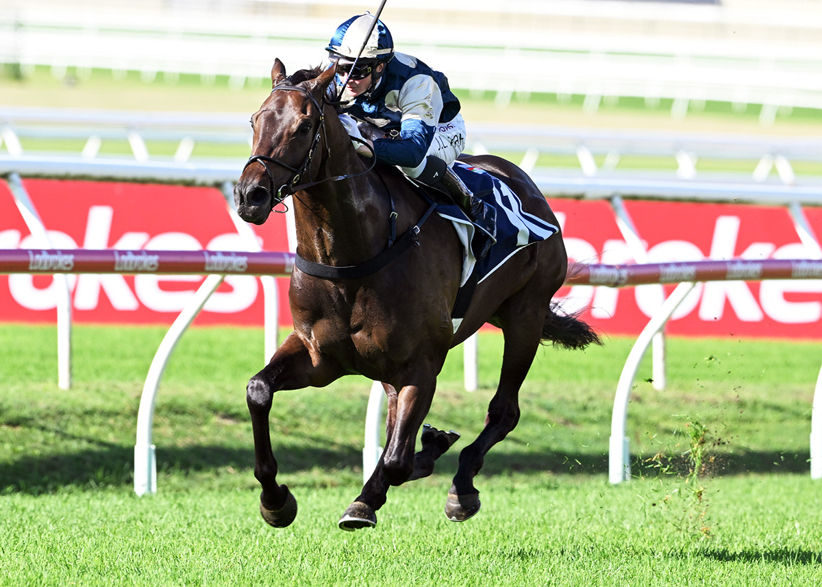 “This was his race to win and there wasn’t a lot behind him.” @qldtrials 

“I don’t think back to 1400 metres is his go. I’d love to see him stay at 1600 (metres).' @deanwatling 

Can the progressive Gringotts win a Stradbroke Handicap? #GiddyUp