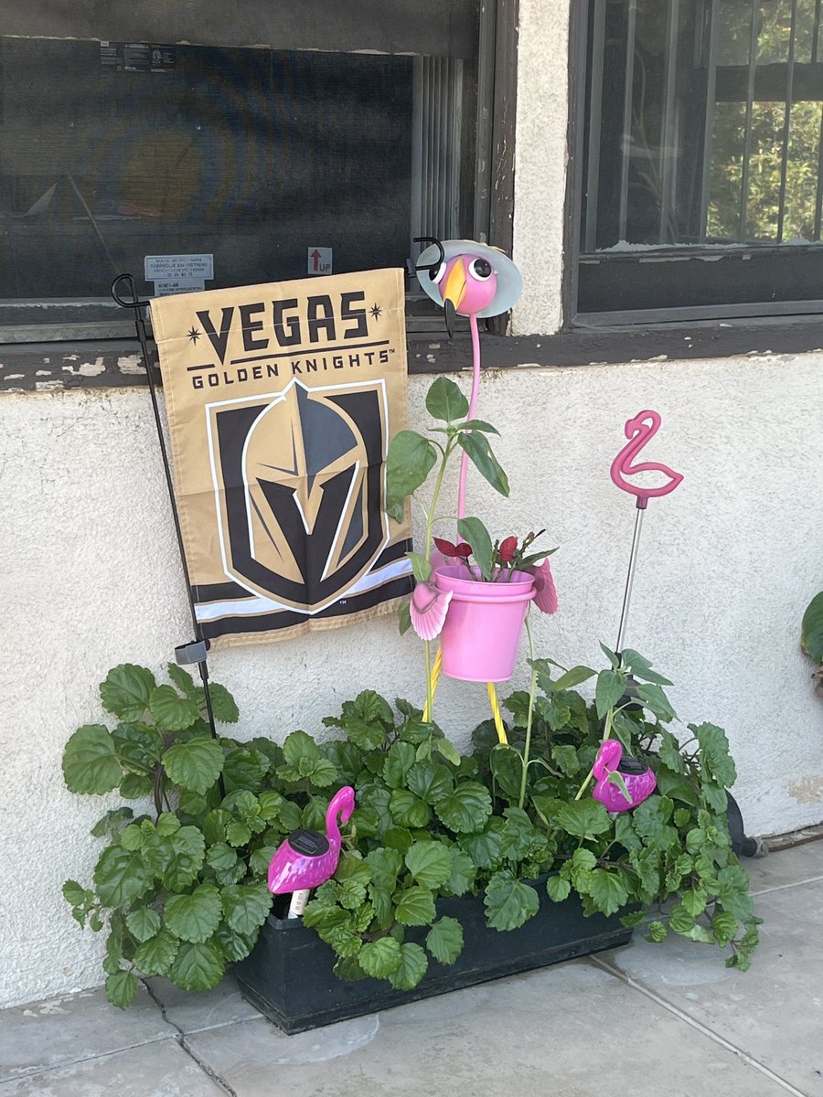 Can it be Hockey Season already ?? My new flag and my 4 ⁦@VGKFlamingo⁩s 🦩🦩🦩🦩