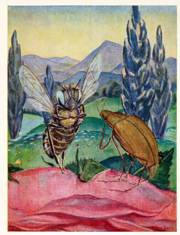 暦。5月20日は #世界ミツバチの日 #WorldBeeDay とのこと。

文学方面ですとボンゼルス『みつばちマーヤの冒険』（1912）でしょうか。われわれは名作劇場アニメの絵を思い浮かべますが、1922年の英訳版の挿絵では思いっきり虫。これ以上ないくらい虫。擬人化は魔術化の要諦とされてはおりますがーー