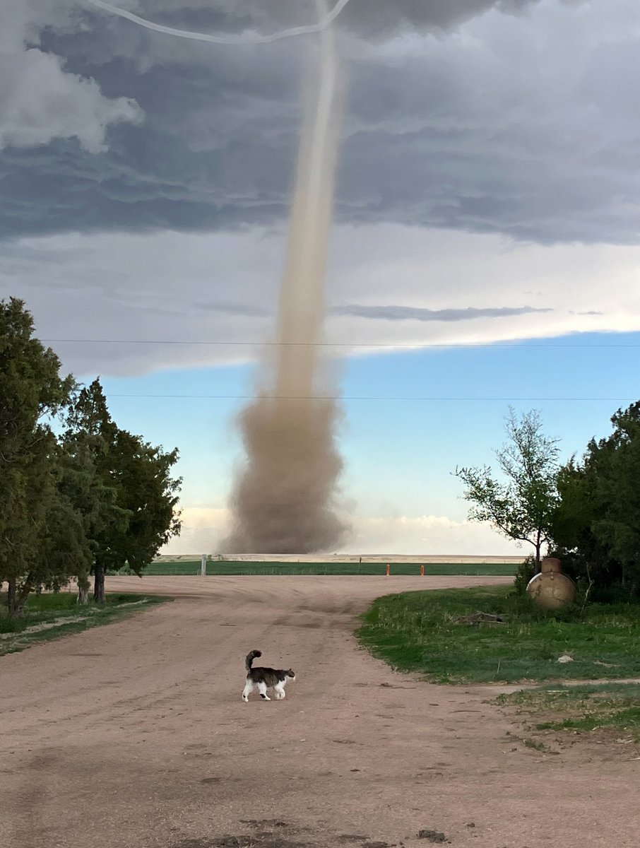 Cat 🐈‍⬛ watching a tornado 🌪️ this afternoon in Northern Lincoln County, CO (20mi north of Genoa). Photo by Asha Thompson.