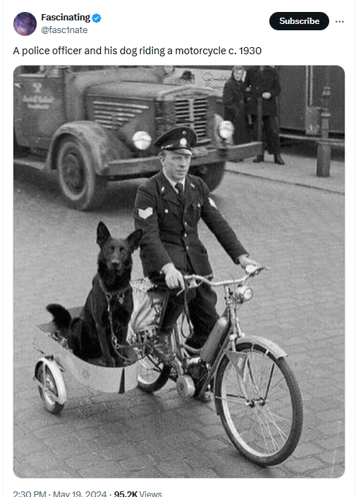 Photo was taken in 1955, not the 1930s. Black Alsatian police dog Astor riding in a side-car powered by Hamburg police sergeant Ernst Muller, who regards the dog to be the 'eyes in the back of my head'. gettyimages.ie/detail/news-ph…