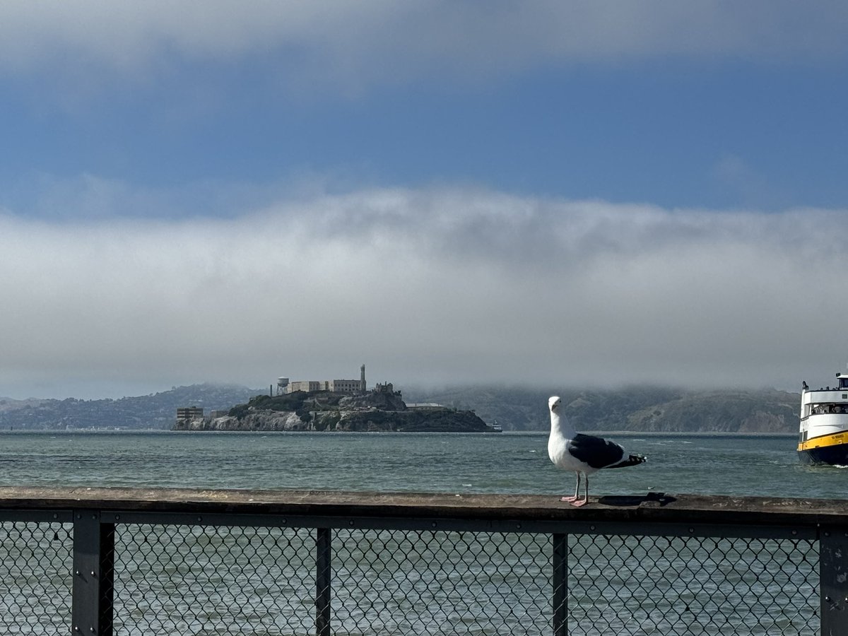 NadineGNess's tweet image. I was in San Francisco this past week for a conference.  When our Iranian Uber driver learned we were Canadian he asked us why Canada hides all the terrorist, more specifically Iranian terrorists.  He said they all flee with stolen funds to Canada.

That is the reputation Canada…