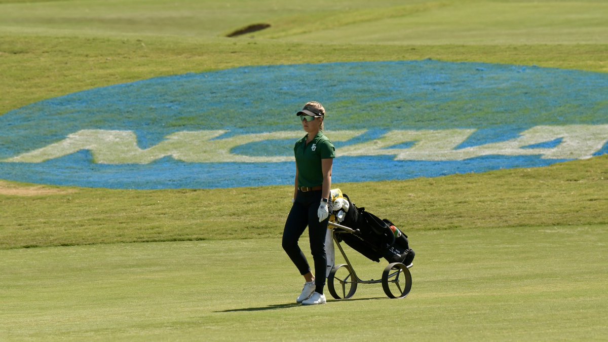 Turning to the homeward half of the third round in 15th! 📊: bit.ly/NCAAwgolfchamp #SicEm🐻⛳️🏌️‍♀️