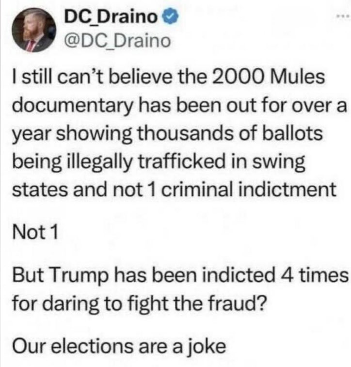 Who thinks there should be some Criminal Indictments for Election Fraud ?