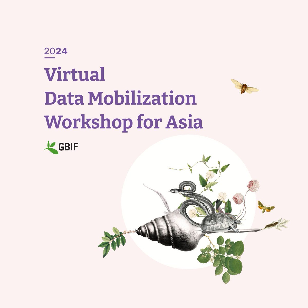 Are you a #biodiversity data holder in Asia? In late June, GBIF kicks off a virtual Data Mobilization #Workshop covering project management, data capture, management and publication, with a focus on GBIF's tools and infrastructure. For more information: gbif.org/event/3JFlnRme…