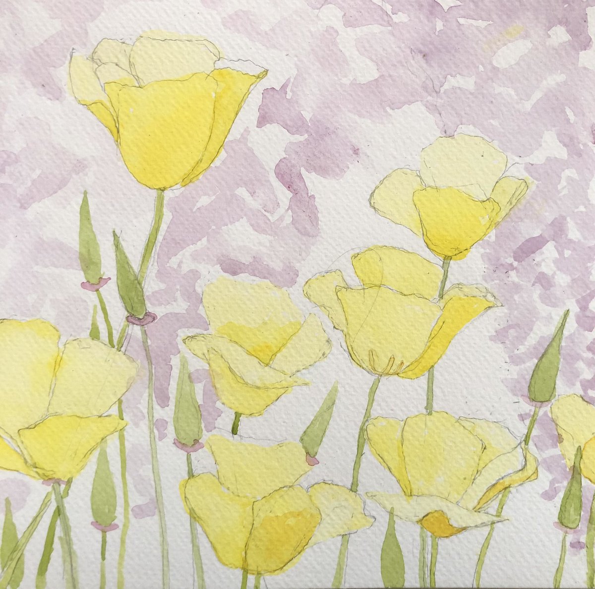 Two days in the life of a new watercolor. 

Pale yellow poppies
8” x 8”
2024 all rights reserved
