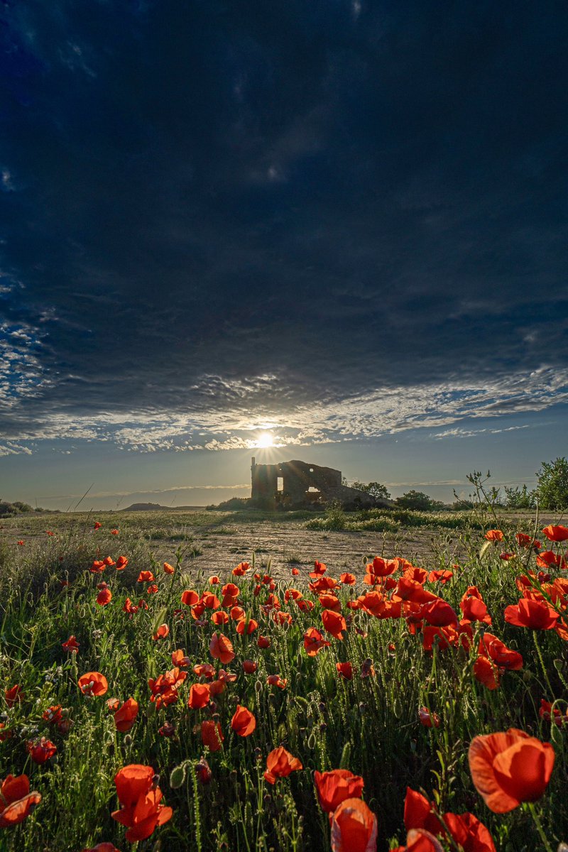 Torre del Niu, l’Urgell, Catalonia 

#landscape #paisatges_de_catalunya #paisatges @postureiglleida #primavera #spring #vilagrassa #bellpuig #preixana #urgell #somurgell #raconsde_catalunya #catalonia #imatgesde_lleida #imatgesde_catalunya #poblesdecatalunya #aralleida