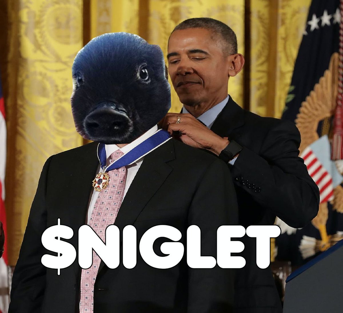 @mrpunkdoteth add a bag of $NIGLET its the new meta! BRONZE MEDAL FROM BARACK obama dexscreener.com/solana/43cmudz…