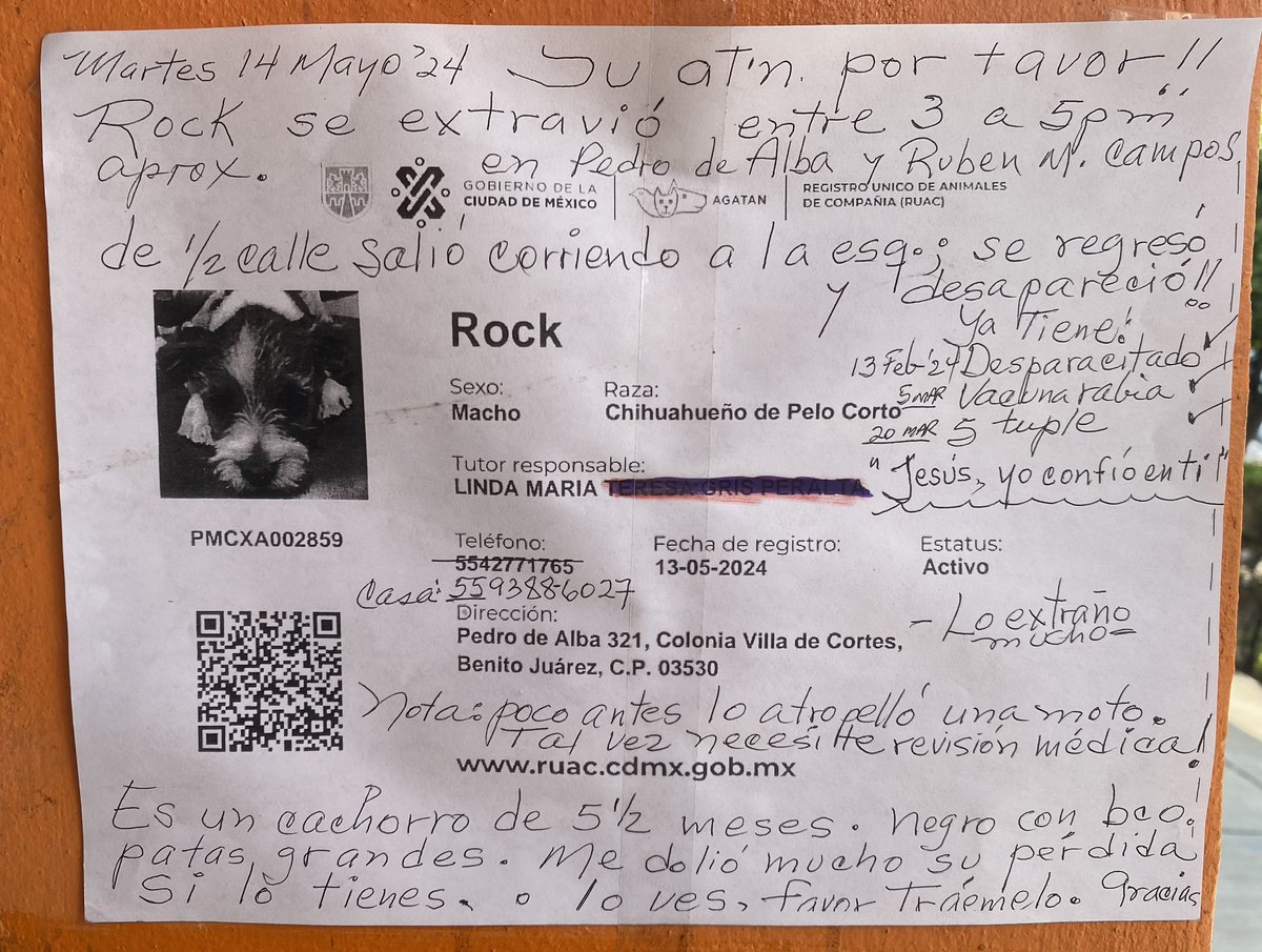 Col. Villa de Cortés (@colvilladcortes) on Twitter photo #PERROPERDIDO
<a href="/Col_NativitasDF/">Nativitas BJ CDMX</a> @LaModerna_BJ <a href="/CIztaccihuatl/">Colonia Iztaccihuatl</a> <a href="/PrrosPerdidosMX/">PerrosPerdidosMx</a> <a href="/AlamosCDMX/">Colonia Álamos CDMX</a> <a href="/C5_CDMX/">C5 CDMX</a> #PERROPERDIDO
<a href="/Col_NativitasDF/">Nativitas BJ CDMX</a> @LaModerna_BJ <a href="/CIztaccihuatl/">Colonia Iztaccihuatl</a> <a href="/PrrosPerdidosMX/">PerrosPerdidosMx</a> <a href="/AlamosCDMX/">Colonia Álamos CDMX</a> <a href="/C5_CDMX/">C5 CDMX</a>