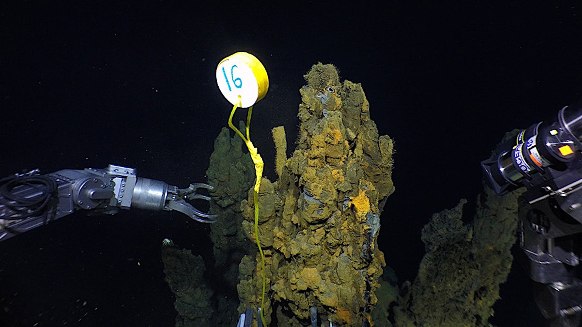 Even Inactive Hydrothermal Smokers Are Densely Colonized By Microbial Communities astrobiology.com/2024/03/even-i… #astrobiology #oceanography #hydrothermal #extremophile #microbiology