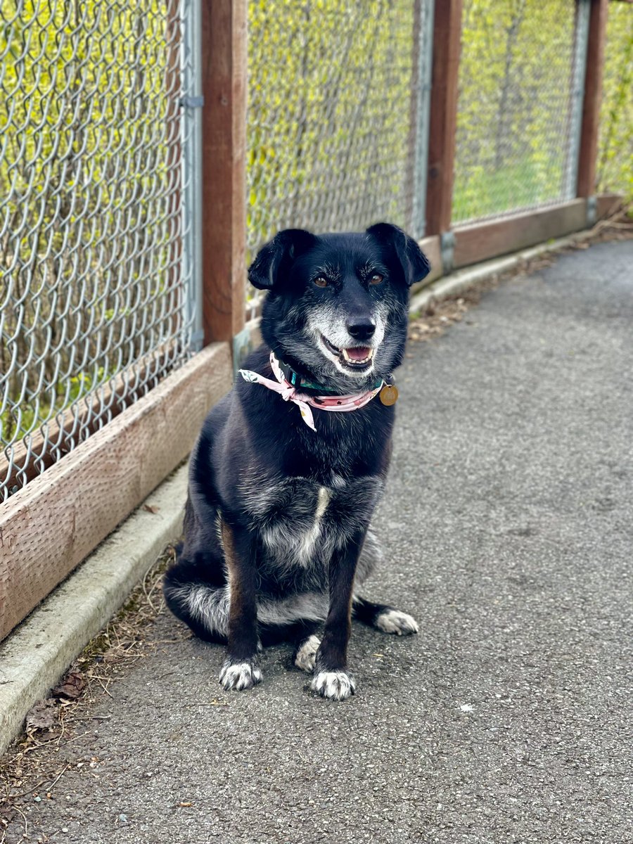 Post client meeting walkies in her business scarf.