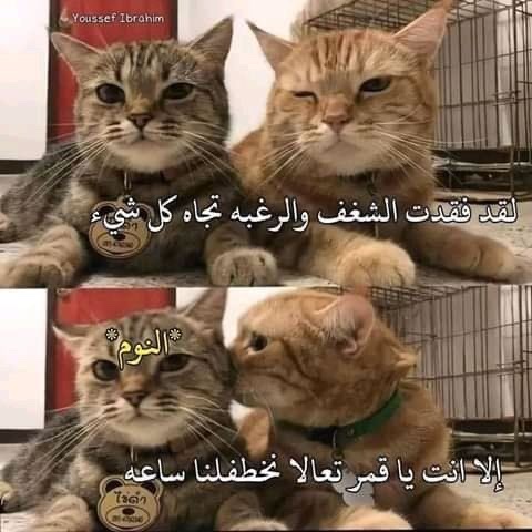 ‏أي حاجة | كود نايس ون AH88 (@toonzatt) on Twitter photo 