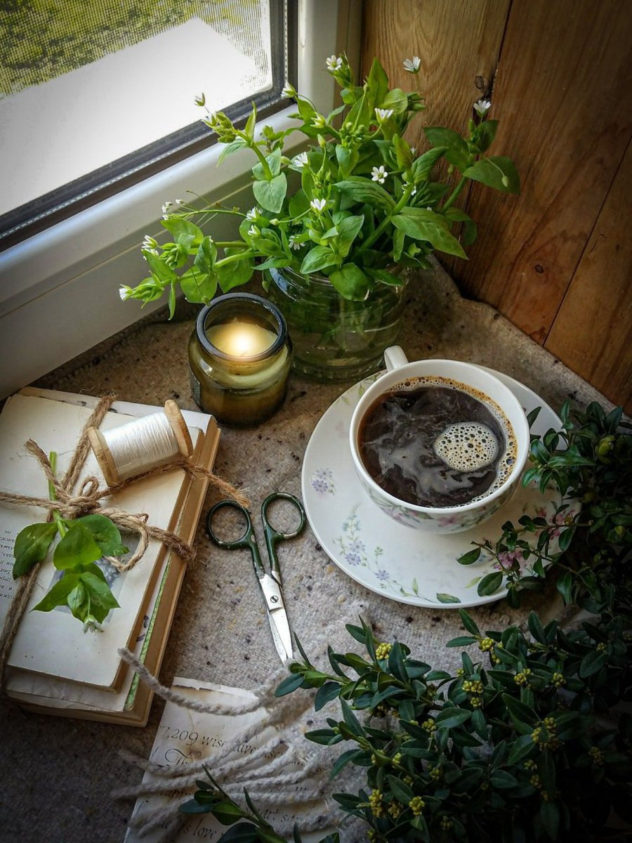 в окружении пышной зелени и насыщенного аромата свежесваренного кофе.  🌿☕ #PlantLovers #CoffeeTime #GreenThumb #CaffeineBoost #UrbanJungle #MorningBrew #BotanicalBliss #CoffeeLovers #LeafyLuxury #EspressoYourself