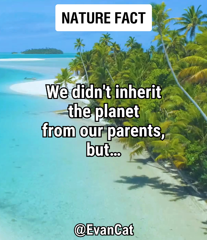 We didn't inherit the planet from our parents, but...
... katsioulis.com/we-did-not-inh…

#savetheplanet #savetheearth #saveearth #saveplanet #shorts #psychologyfacts #dailyfacts #InspirationalQuotes #wellness #mindfulliving #personalgrowth #positivevibes #evancat #BrightSide