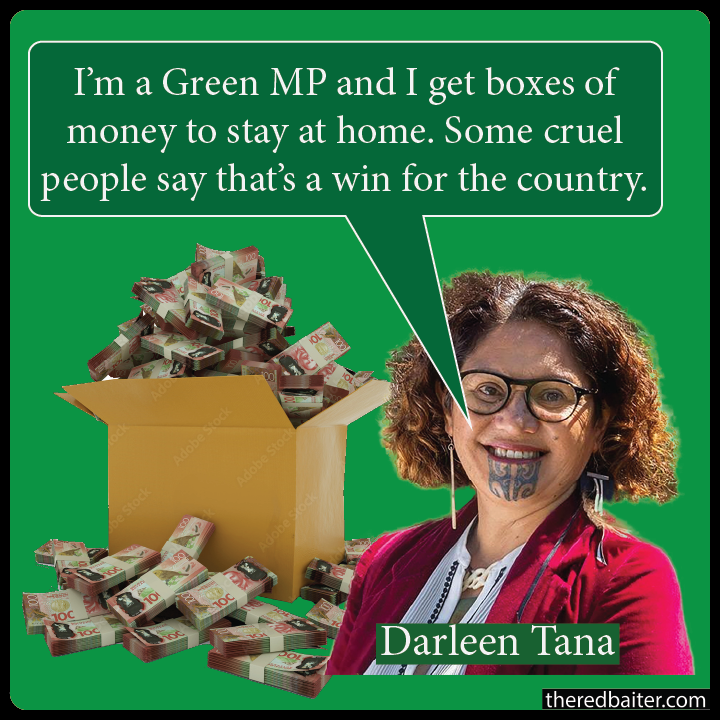 Green Party MP Darleen Tana has been suspended from duty while allegations of migrant exploitation are investigated.

The suspension occurred more than two months ago but she is still receiving her full parliamentary salary. 

Some people are annoyed by this. Others think it