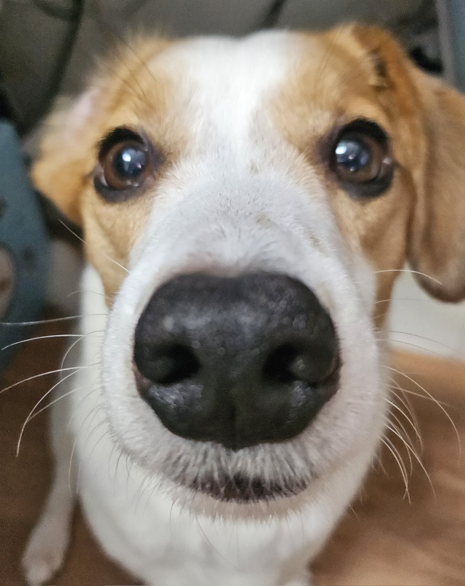 짱 좋은 하루되새요