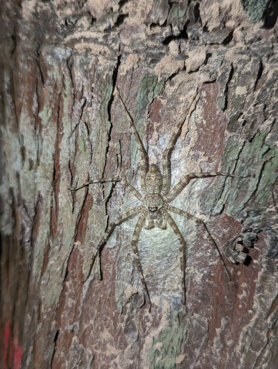 ... More importantly, we set the stage for a solid collaboration! I am excited to learn more about elephants, leopards and human-wildlife conflict, #wildlife in the tropics, and have <a href="/E3BColumbia/">E3B Columbia</a> students involved in research in Sri Lanka, China and other areas of SE Asia