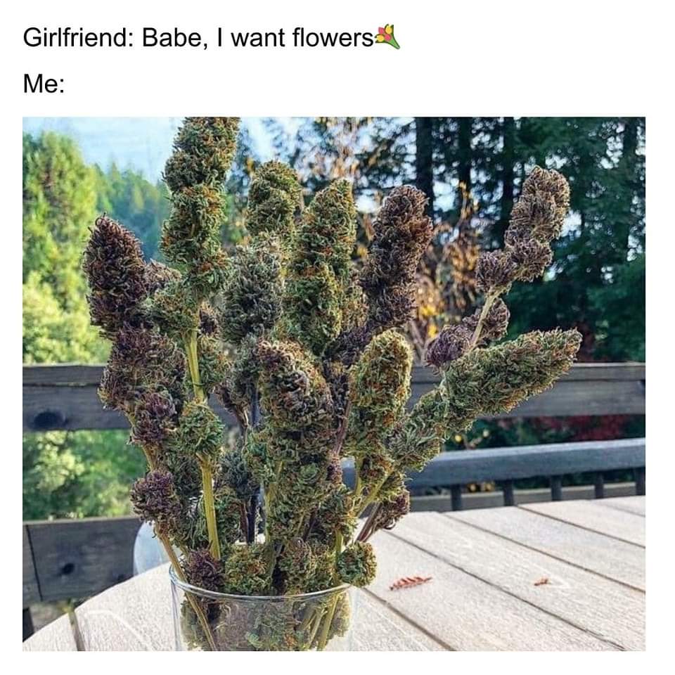 #relationshipsbelike #relationshipgoals #420friendly #weed #ganjagirls #hightimes #highlife #blunts #blunted #420life