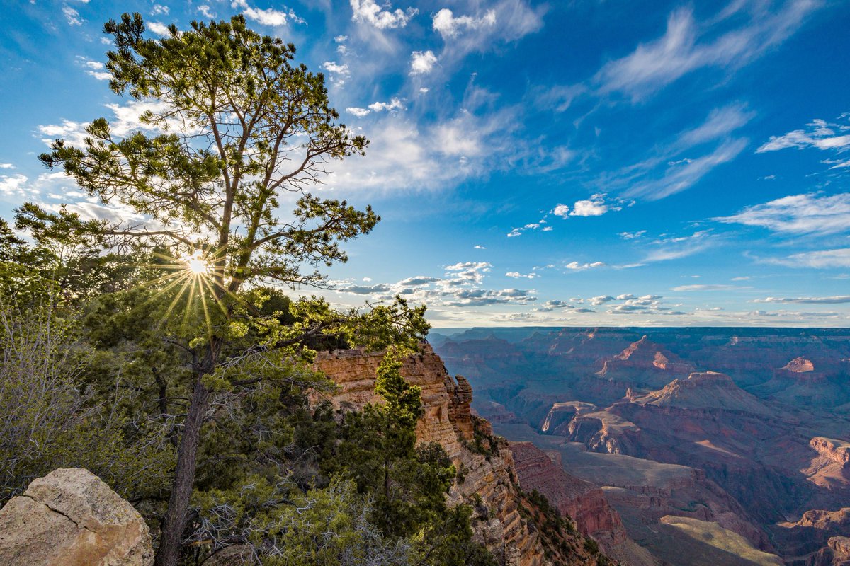 Just when we thought this photo couldn’t be more amazing, we find out it was captured by APS employee Adam while he was volunteering at the Grand Canyon! Thanks for making Every Day, Brighter and helping this natural wonder be even more beautiful. aps.com/brighter