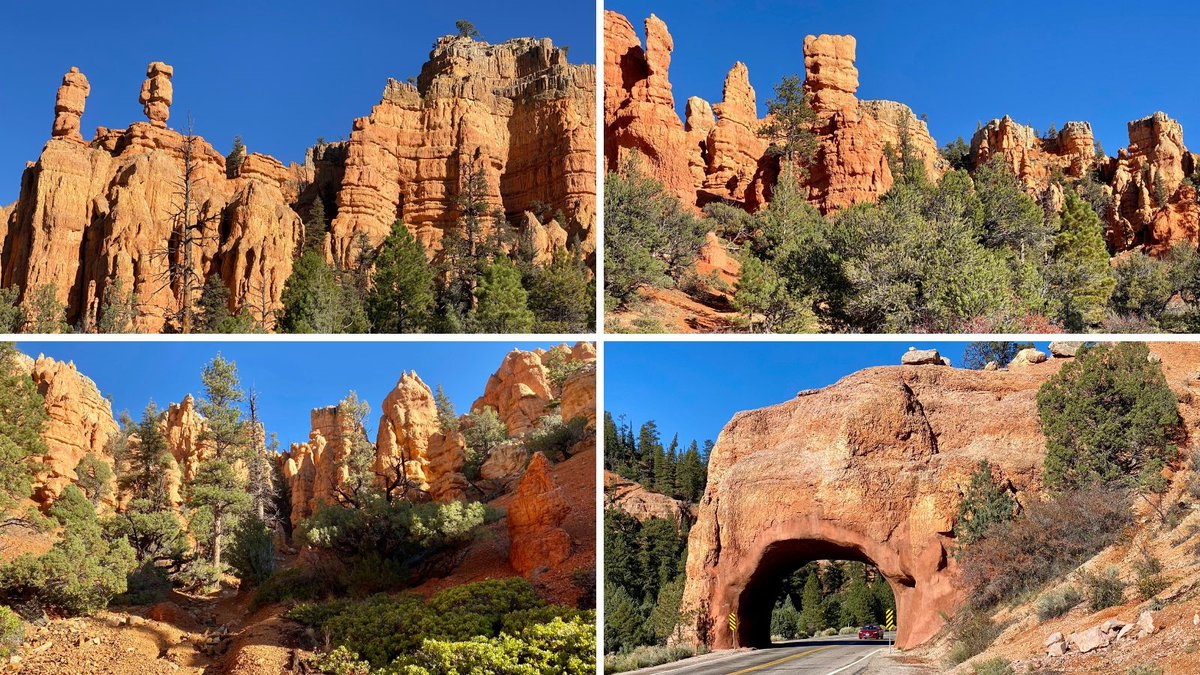 Discover the beauty of Red Canyon Utah on an unforgettable road trip. Drive through tunnels carved into rock, hike towering hoodoos, soke in the breathtaking colors of this geological wonderland bit.ly/3pMhymx via @sheriannekay #FindYourPark Dixie National Forest