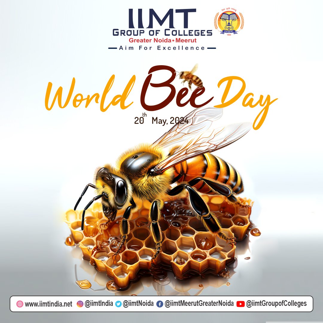 🐝🌍 Happy World Bee Day! 🌍🐝

Today, we celebrate the tiny but mighty heroes of our ecosystem – the bees! 🎉🐝 On this special day, let's take a moment to appreciate these incredible creatures and the invaluable contribution they make to our world.
#WorldBeeDay #SaveTheBee