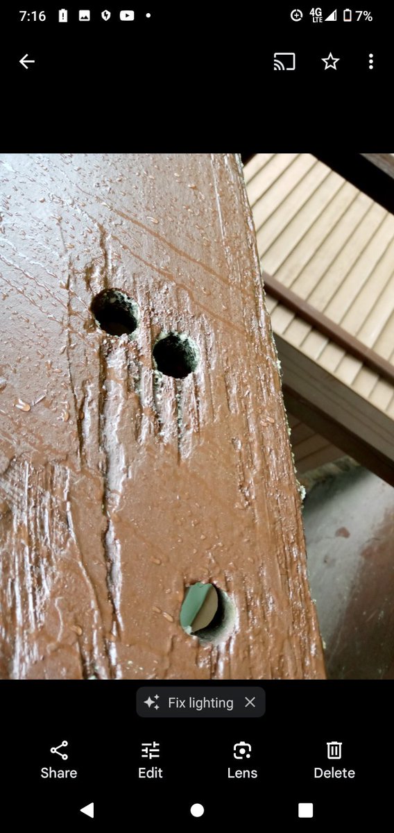 #construction, #carpenters, #homerepair, #woodpeckers
#BirdsOfTwitter

Can anyone tell me why I am getting these holes in my deck?  I have woodpecker who pecks the back of the house. Is he also doing this?