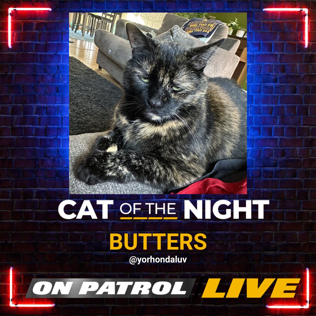 Tonight's #OPLive #CatoftheNight is BUTTERS. Congratulations, @yorhondaluv.

#OPNation #REELZ #OPWeekend