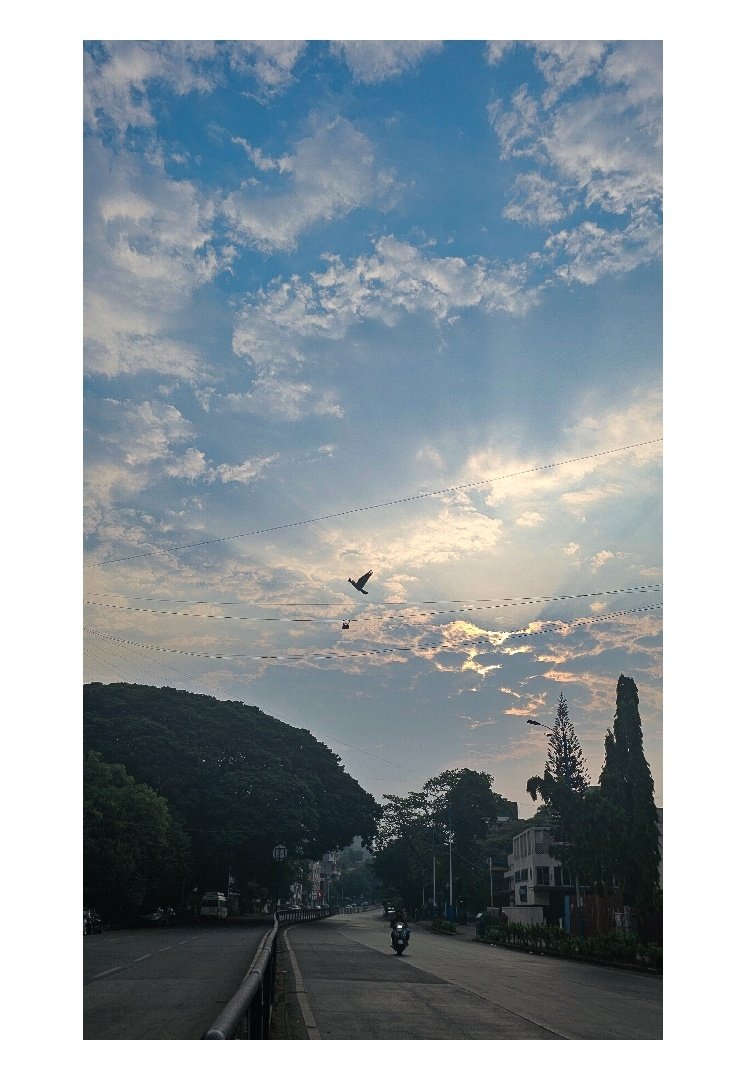 The sky| The path | The bird| The flight. 
Karve road at its peaceful best in the morning 
#goodmorning 
Have a good weekend. 

#theme_pic_India_sunrise 
#verto 
#clickforIndia