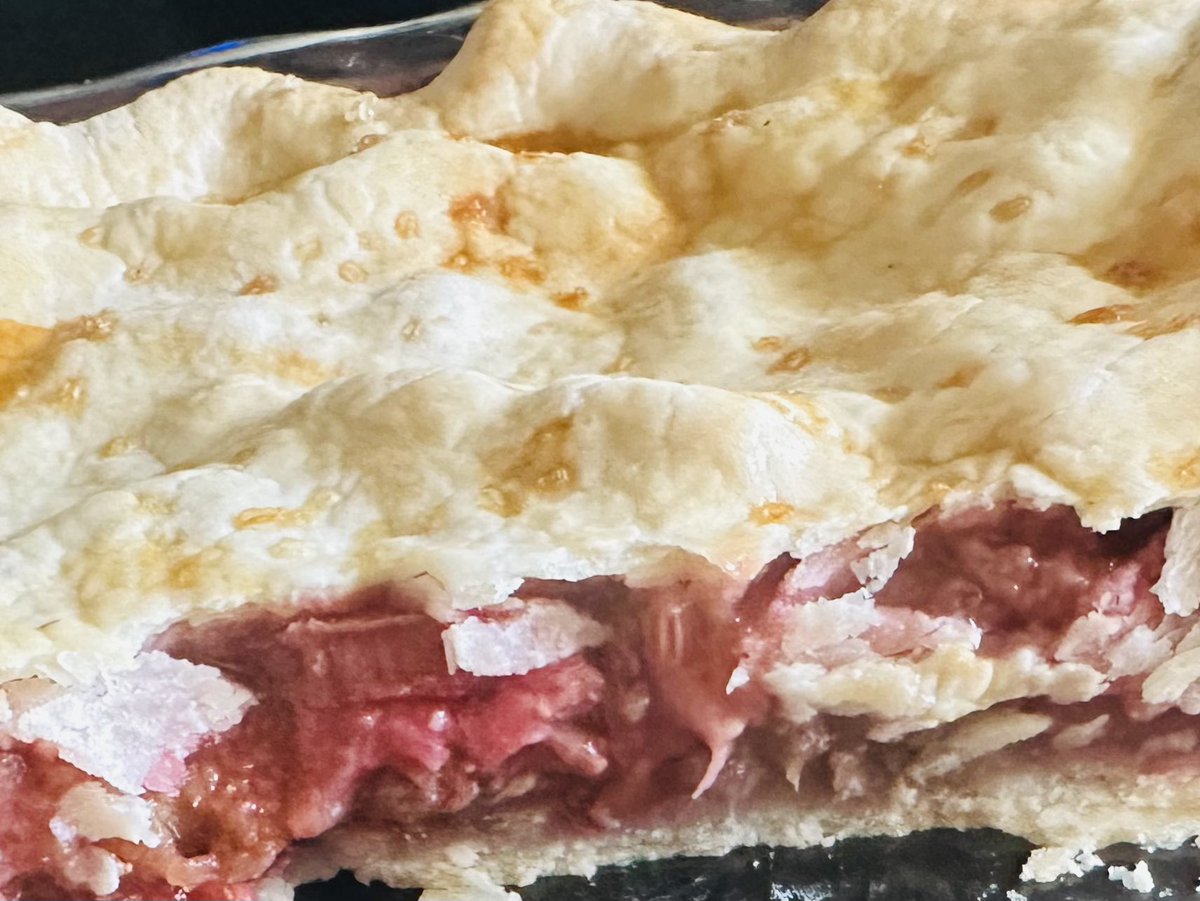 I made some strawberry rhubarb pie cuz tis the season
