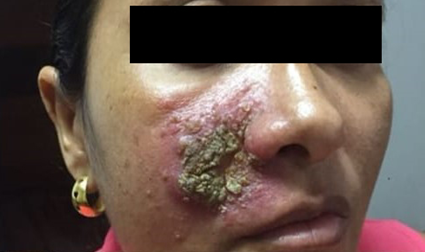 Scott C. Howard tweet media