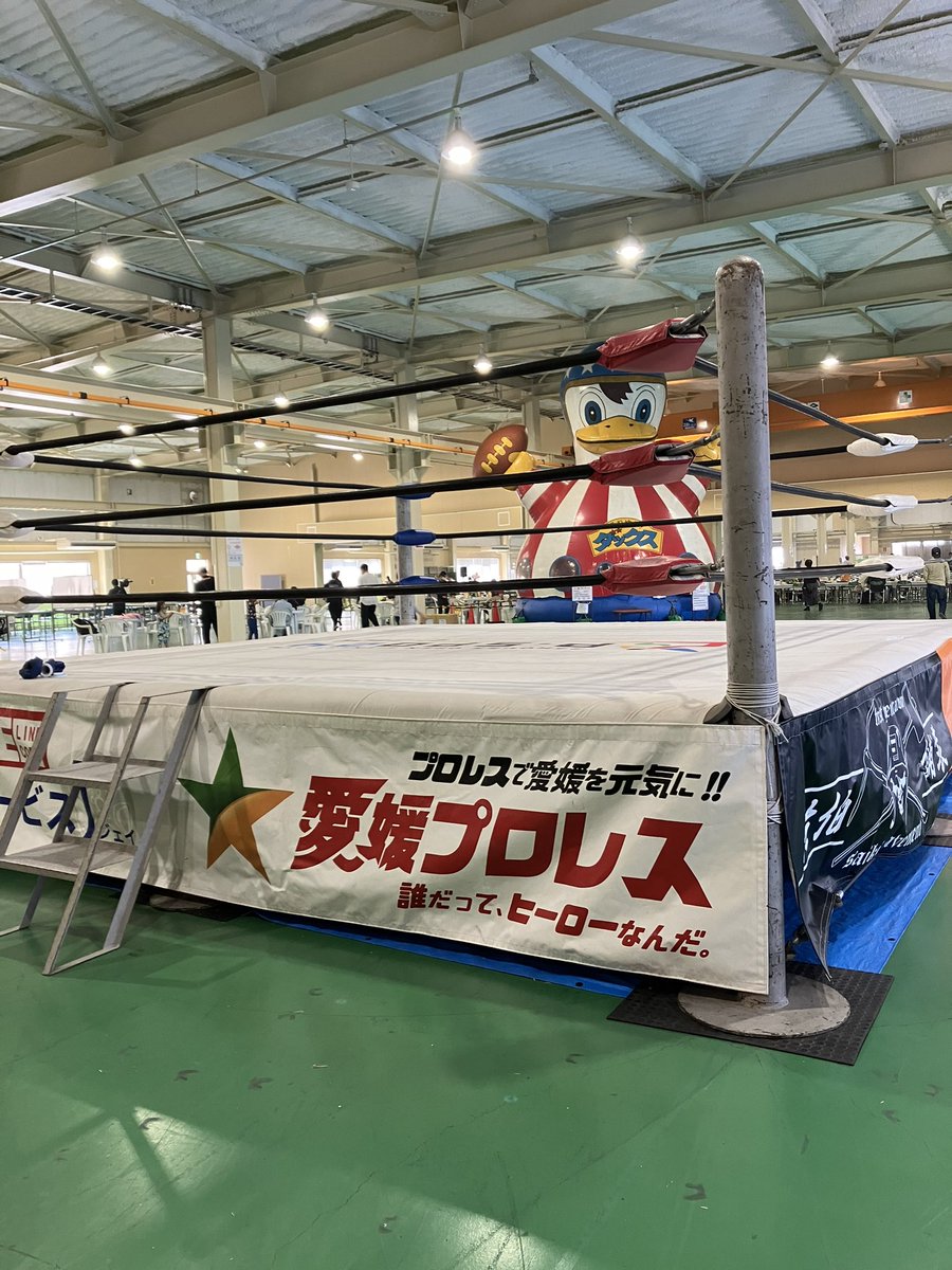 今日はここから

#愛媛プロレス
#スペルデルフィン 
#海豚組