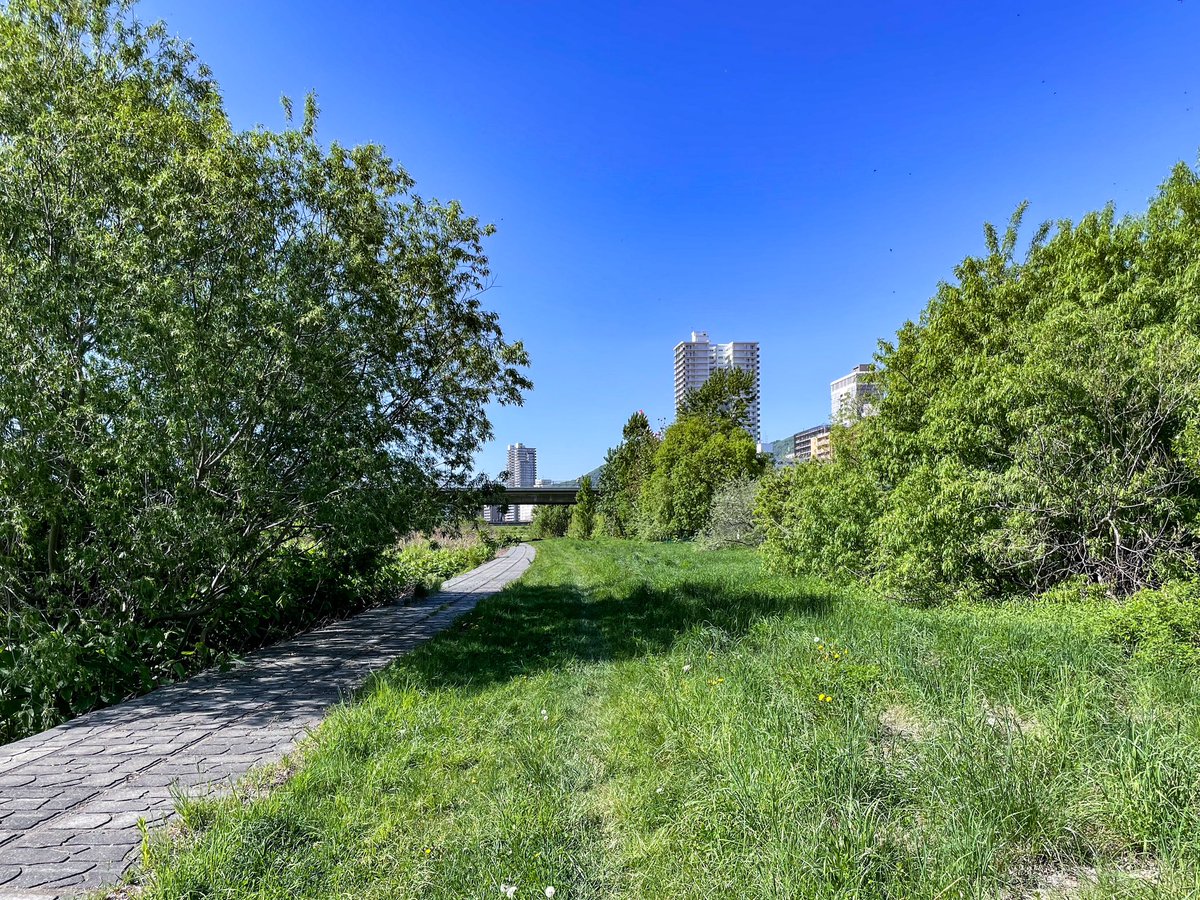 m0zzu_RotD's tweet image. May-18
Workout: 80' easy
Surface: Grass
Shoes: #ghost13 #brooks
Today: 15.08 km
7 days: 76.6 km
30 days: 361.5 km

しっかり休んだ次の日に脚が重めで、翌日は軽くなることがよくある。