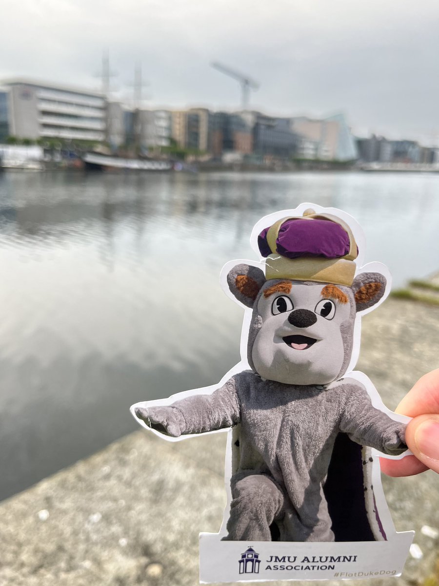 #FlatDukeDog made it all the way to 🇮🇪!