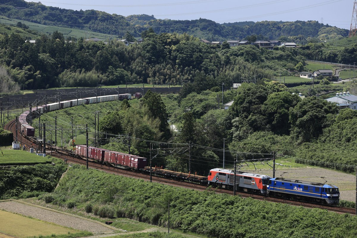 チキ7000 (7052+7051) レール積車 5/17 8864ﾚ EF66 121+ﾑﾄﾞEF64 1020 5/18 2078ﾚ EF210-314代走+ﾑﾄﾞDF200-207 毎度存在感が薄めな富士宛レール輸送ですが、今回は賑やかなエスコート。2078に至ってはDFの無動付き、告知で話題になっていたラッピング機関車でした。