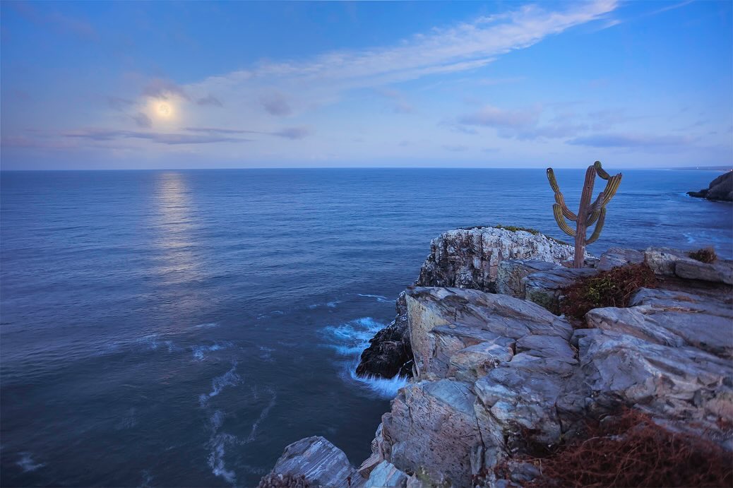 La ruta de senderismo a #PuntaLobos es ideal para los amantes de la naturaleza. 🐺⛰️ Puedes subir a la cima en cualquier temporada del año, ¡e incluso los perros son bienvenidos a participar también! bit.ly/3NGnK8B 📷josafatdelatoba