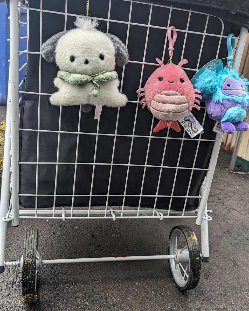 ZakOtocinclus's tweet photo. I decked out my trolly https://t.co/dvh4Xmd9Ml