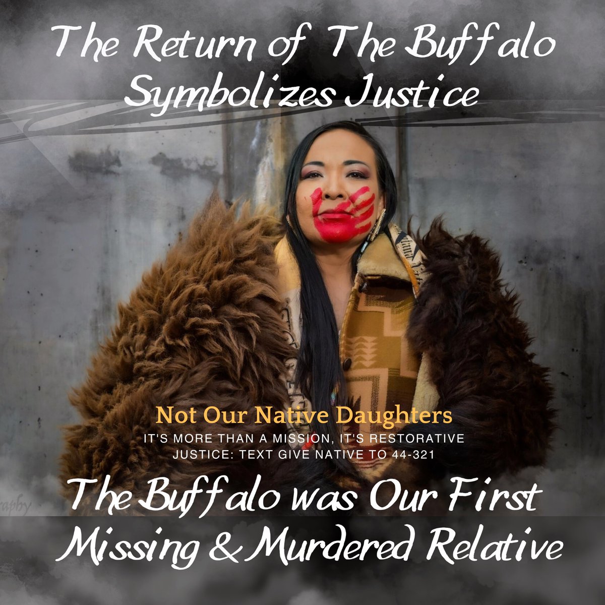 VoteGreyBull's tweet image. Celebrate #NativeNonprofit Day by supporting Not Our Native Daughters! Text GIVE NATIVE to 44-321 to make a difference in the lives of indigenous youth. Your donation helps us empower the next generation of Native leaders. #GiveNative #SupportNative 🌟🌿