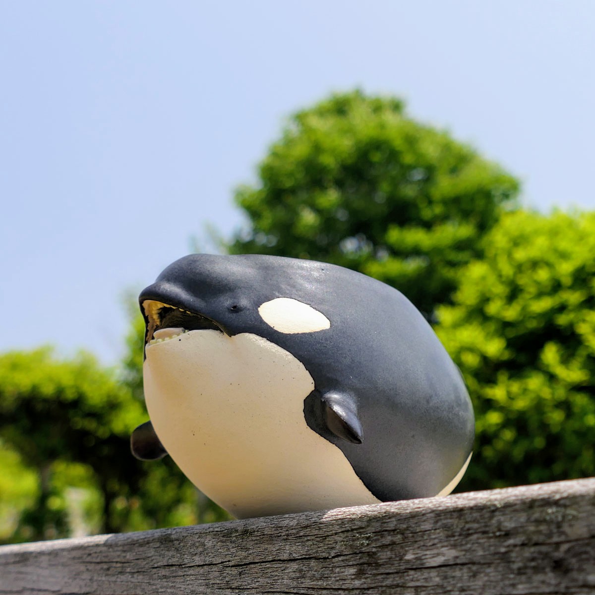 シャチ形マグカップ #orca #killerwhale
