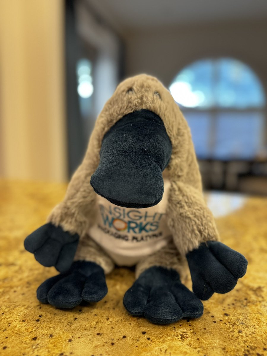 stypulation's tweet image. Thanks @DMSInsightWorks for making me look like a hero coming home from #dynamicsconlive!