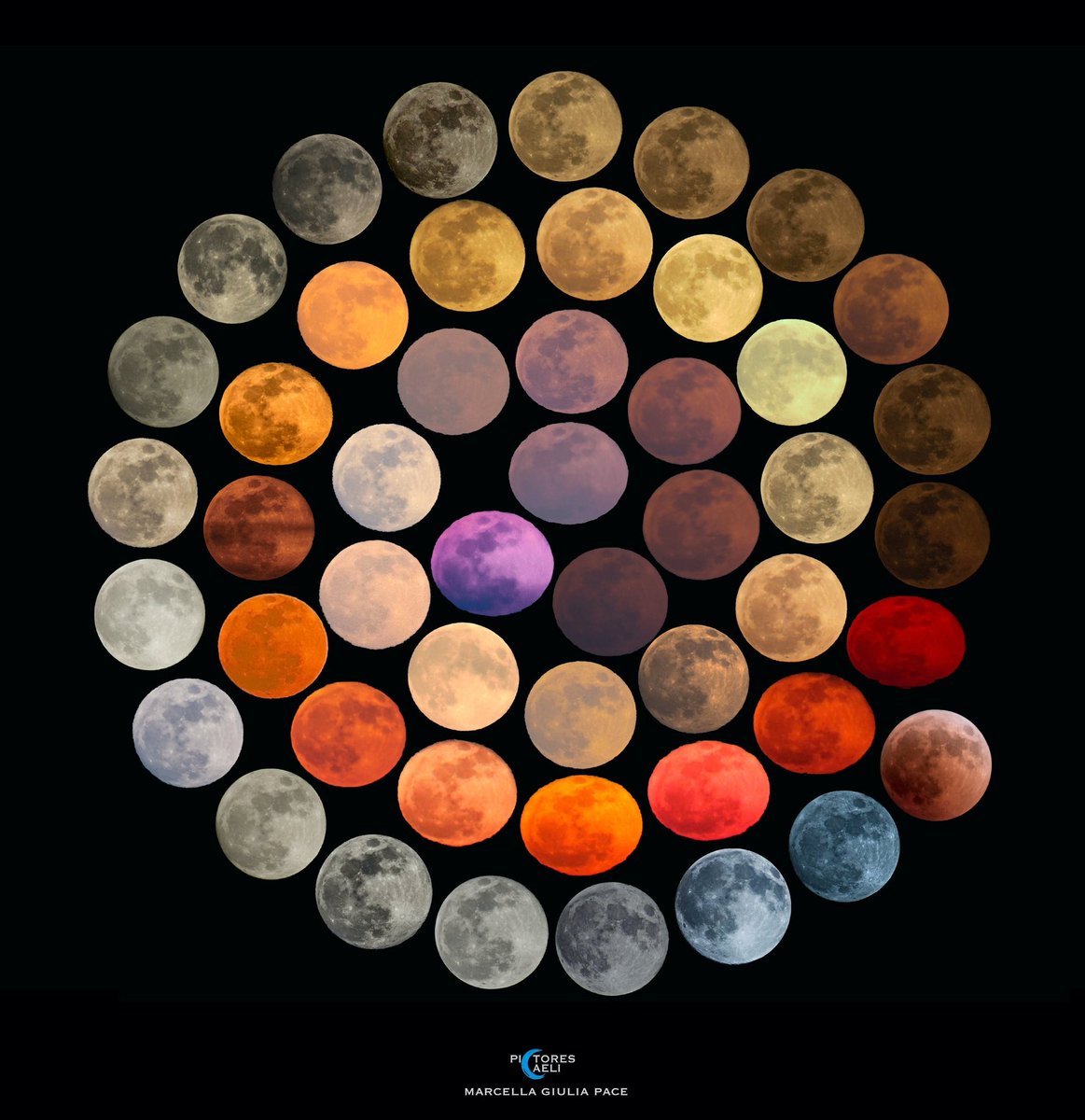 La luna en 48 colores diferentes en un lapso de 10 años.

📸 Marcella Giulia Pace