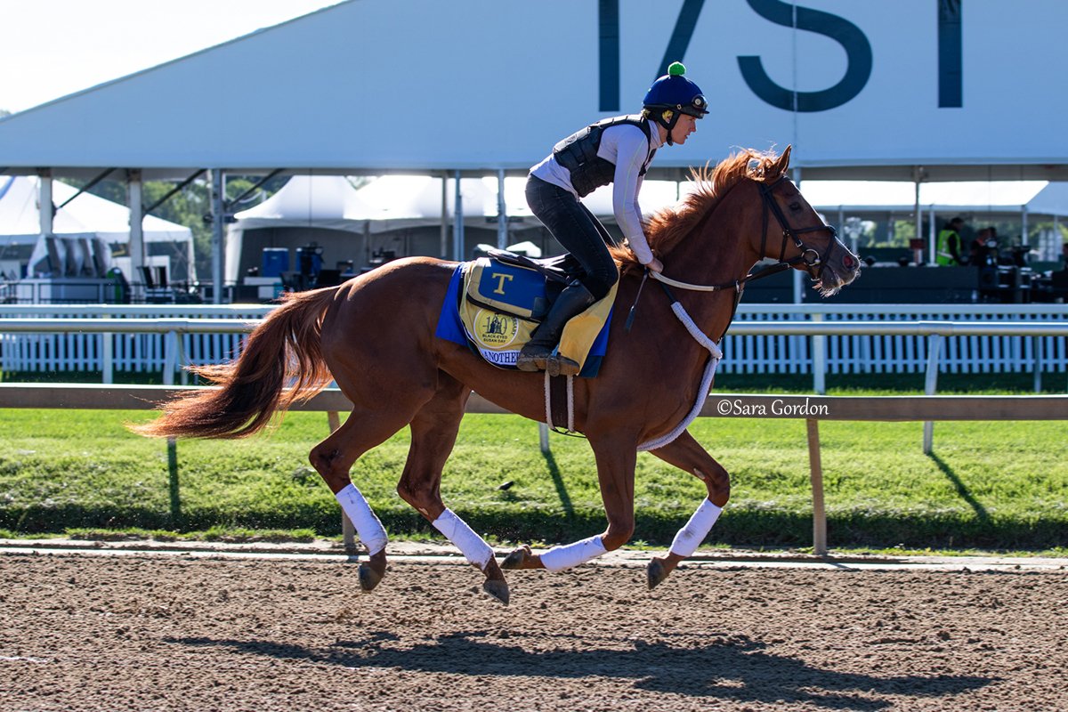 Extremely thrilled with #MDBred Call Another Play's effort today in the GII Black-Eyed Susan S. at @PimlicoRC. She certainly rallied down the stretch and just missed out on 2nd by a neck. It was a big step up, but she certainly did her best! Glad I could share her story. @theTDN