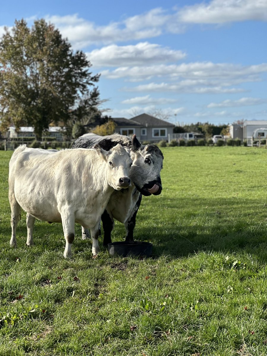 Alexandria Winning tweet media