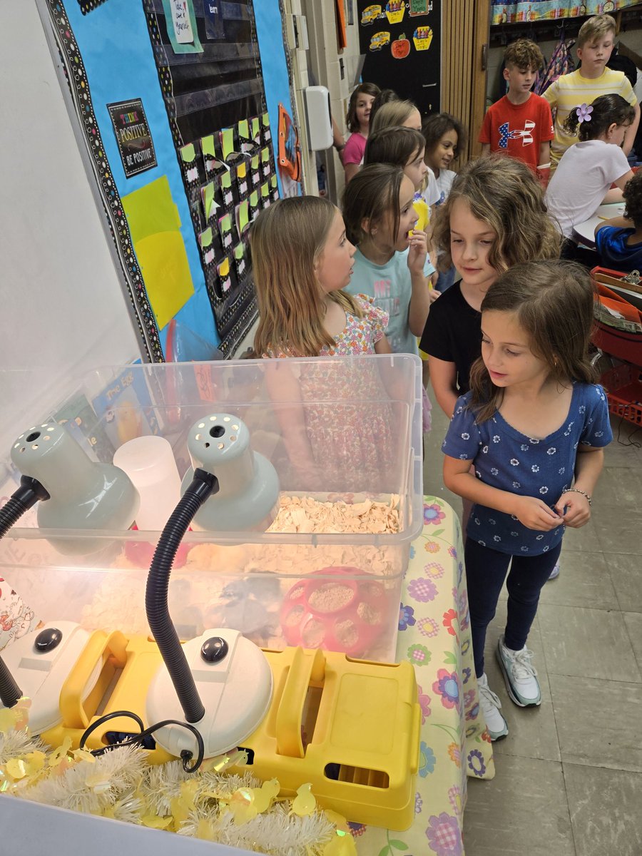 Mrs. Juchnowski tweet media