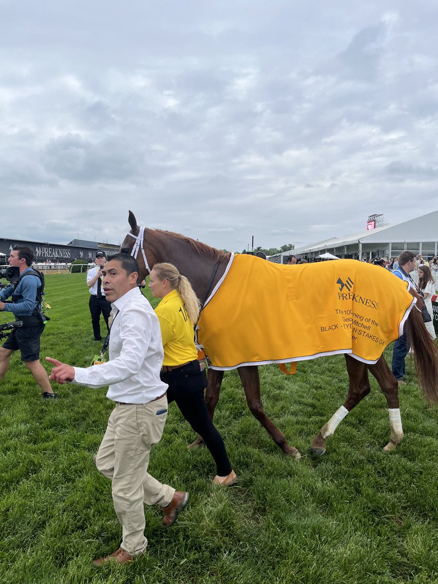 Your 100th Black-Eyed Susan winner