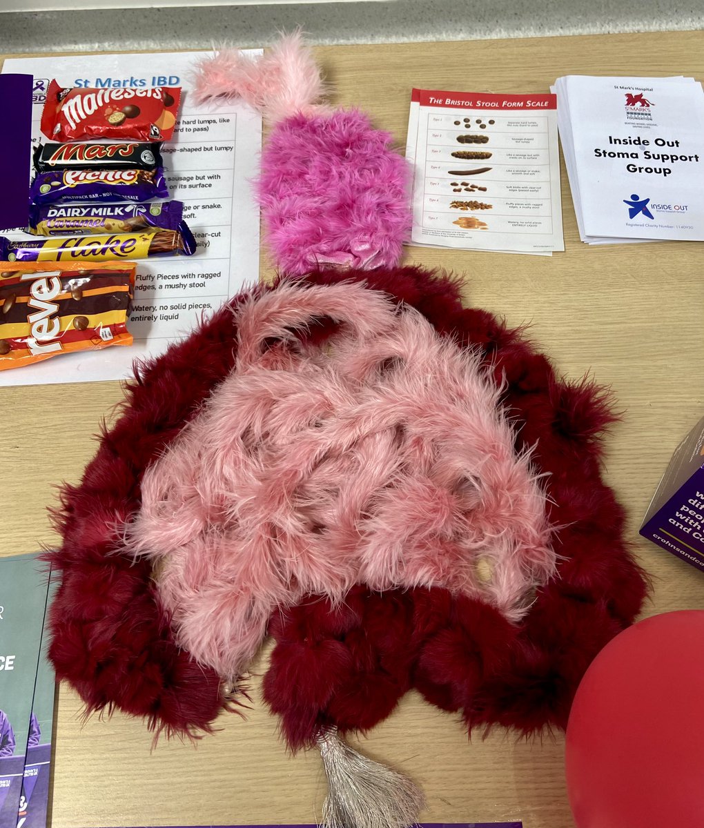 As we head into #WorldIBDDay2024 weekend, here is a picture to show why it is so important to have an MDT to support our digestive systems, thanks to an anatomically correct feather boa representation of the GI tract made by our very own @miasmall9 #wearestmarks 💜