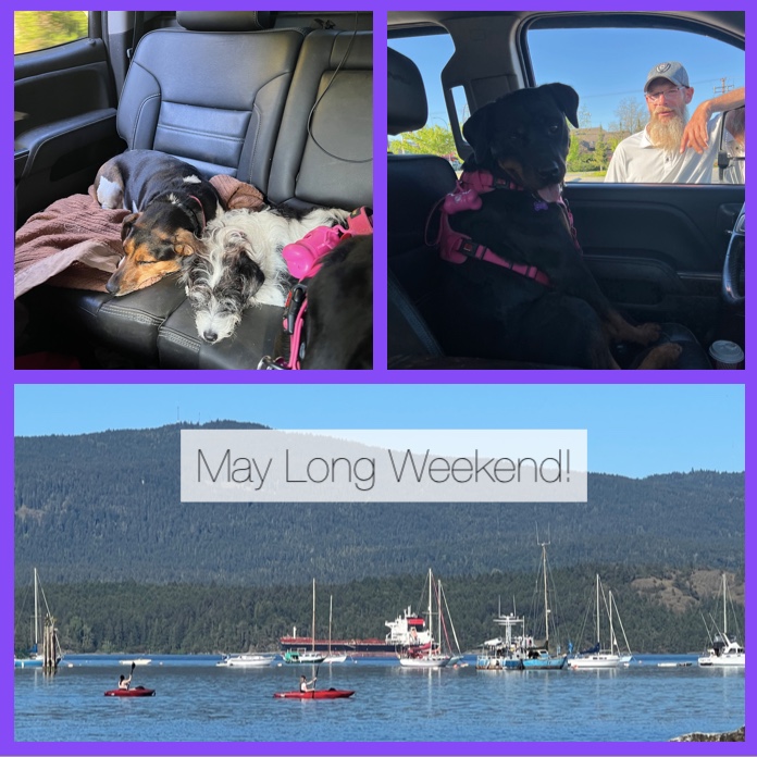 IT’S OFFICIALLY MAY LONG WEEKEND!
TRIMLIGHTVANISLE.CA
bit.ly/3E5BYwd 
#trimlightvanisle #vanisle #vancouverisland #permanentholidaylights #yearroundlighting #securitylighting  #energyefficient #lifetimewarranty