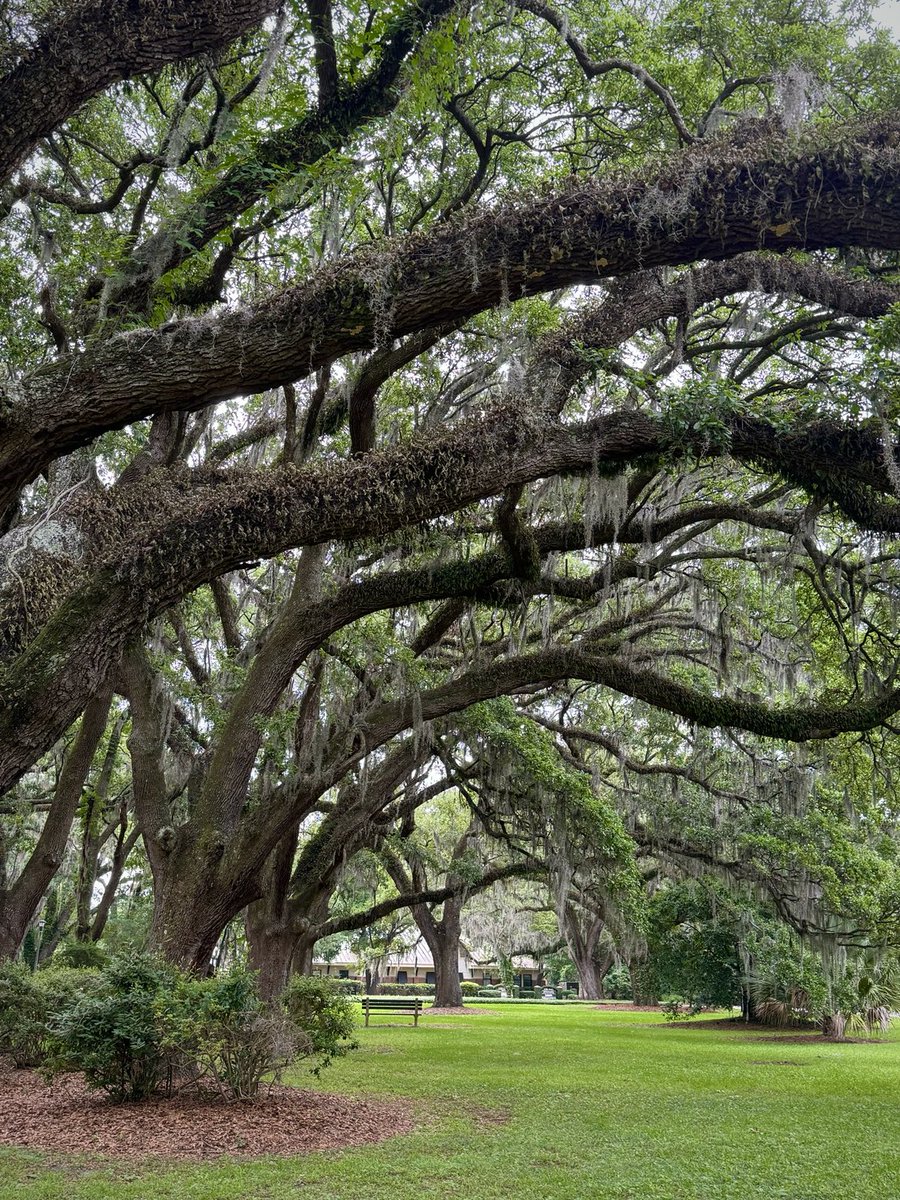 Natural landscape of Charleston