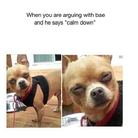 WholesomeMemes (@wholesomememe) on Twitter photo 